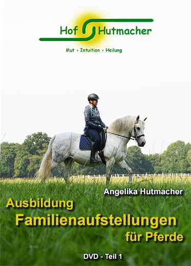 Ausbildung Familienaufstellungen für Pferde