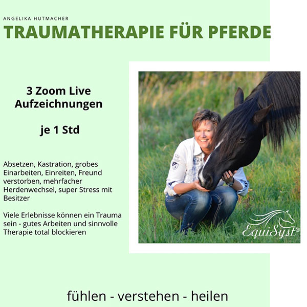 Traumatherapie für Pferde